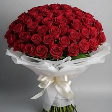 Букет 101 Красная роза Блэк Мэджик в Циолковском