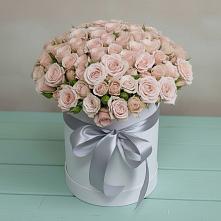 Цветочная композиция из Розы в шляпной коробке #REPLACE_PRED# Циолковском