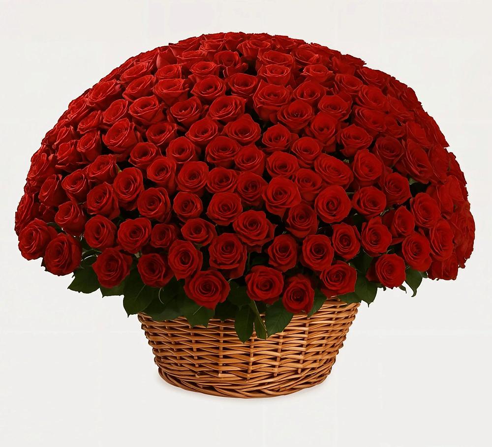 Премиум букет из: Розы в Циолковском